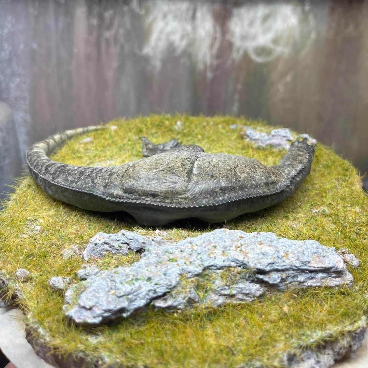 Alex STUDIO ケラトサウルス フィギュア 中生代ジュラ紀 獣脚類 恐竜 ケラトサウルス科 リアル 樹脂 プラモデル 大人のおもちゃ 模型 プレゼント 置物 台座付き (1/20～1/18) [並行輸入品]