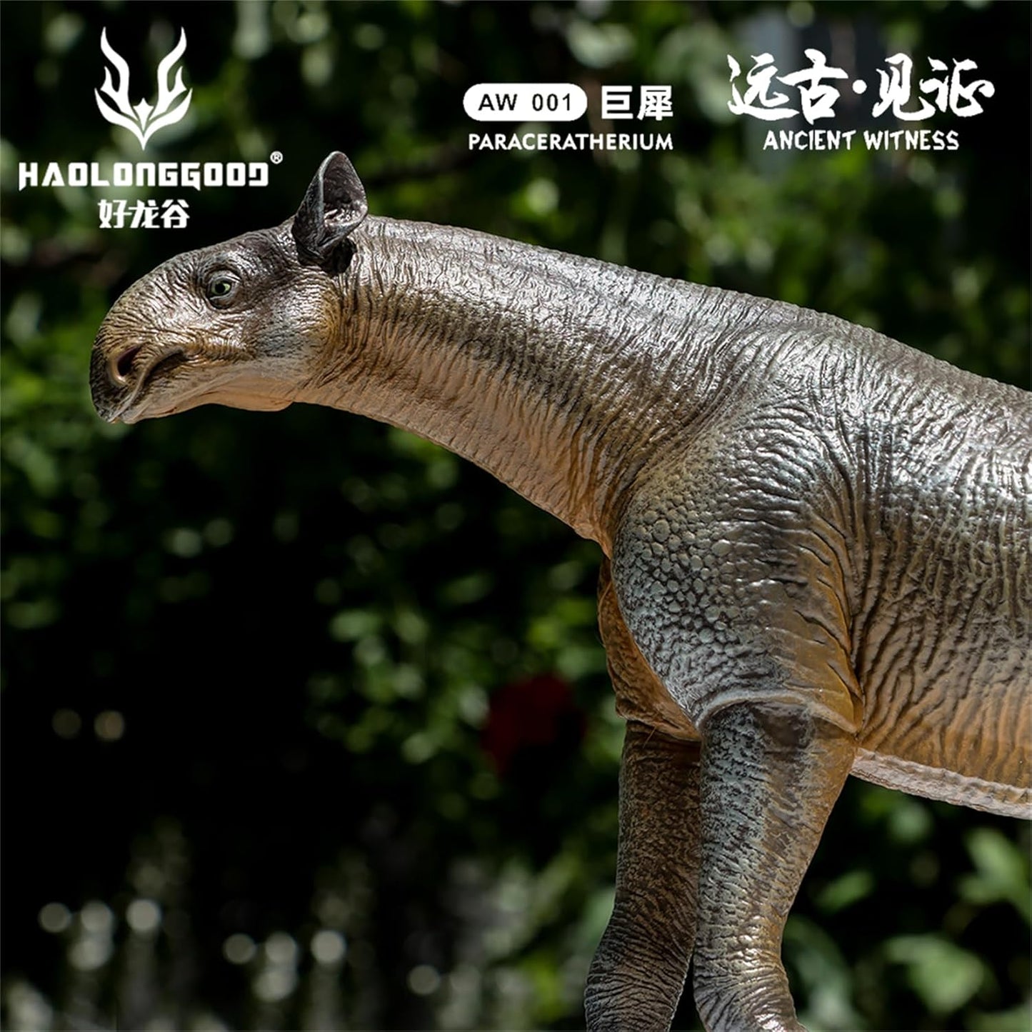 HAOLONGGOOD 1/35サイズ パラケラテリウム フィギュア 24cm PVC CE認証 塗装済 古生代始新世 ヒラコドン科 哺乳類 サイ 動物 恐竜 リアル 模型 プラモデル おもちゃ スタチュー 置物 [並行輸入品]