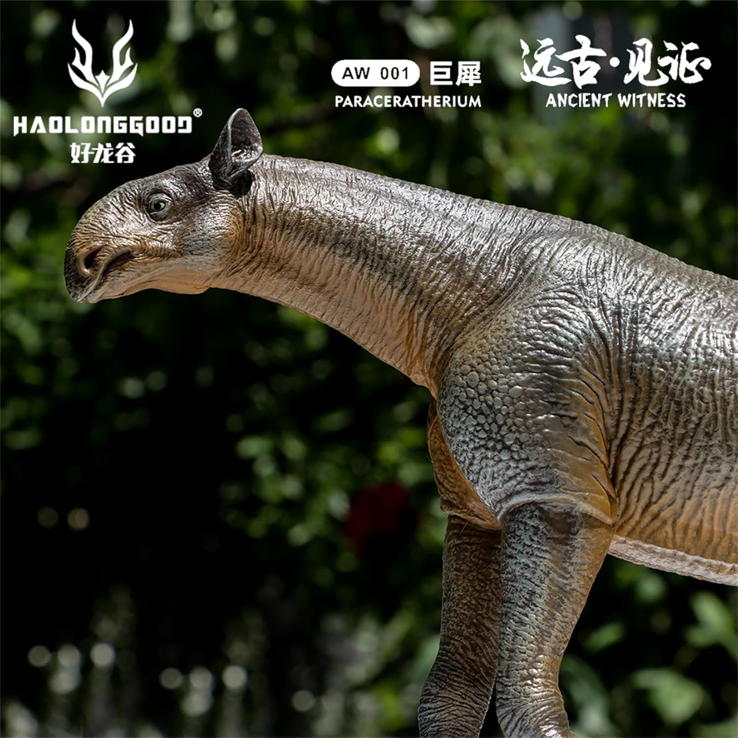 HAOLONGGOOD 1/35サイズ パラケラテリウム フィギュア 24cm PVC CE認証 塗装済 古生代始新世 ヒラコドン科 哺乳類 サイ 動物 恐竜 リアル 模型 プラモデル おもちゃ スタチュー 置物 [並行輸入品]