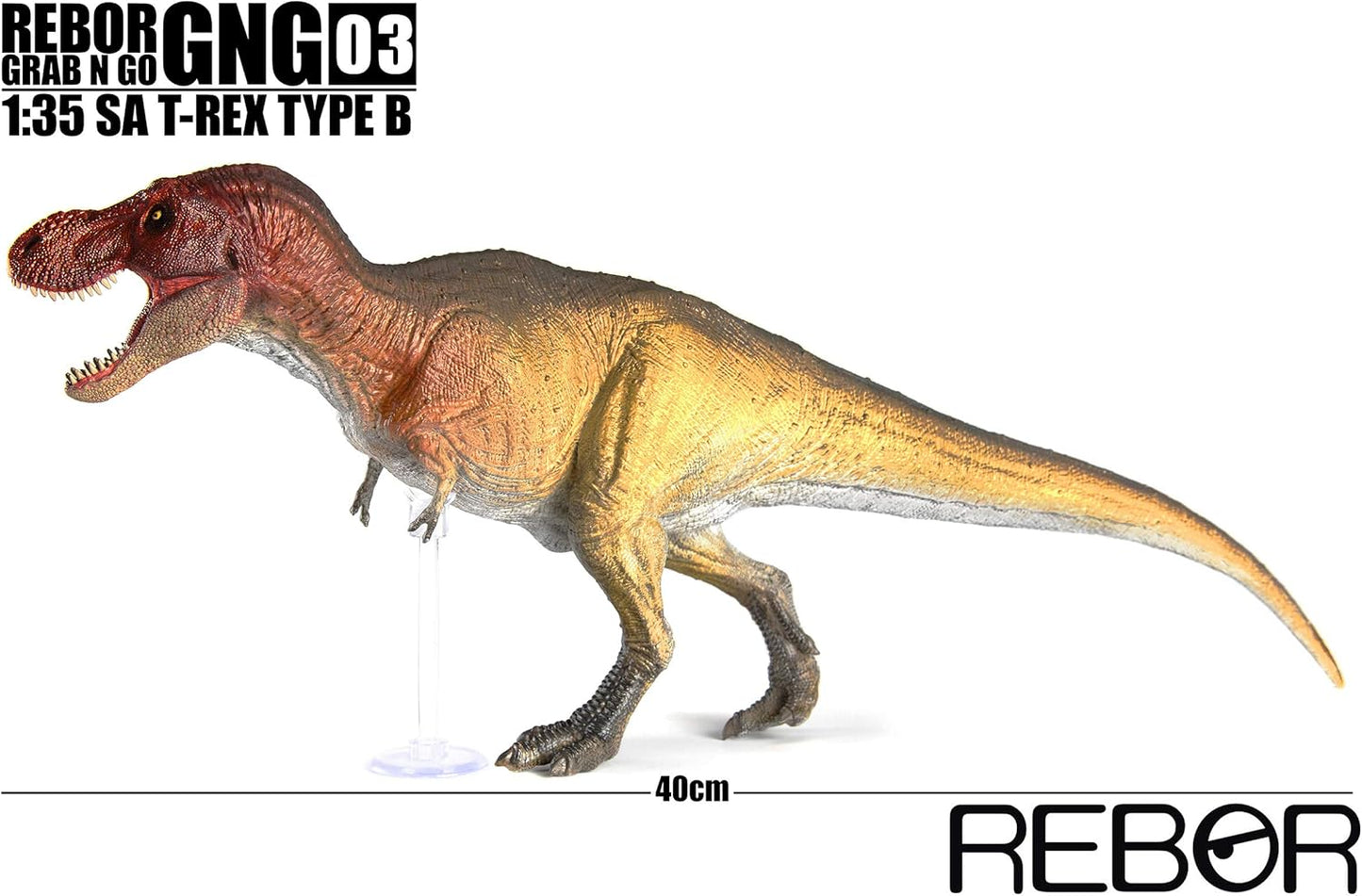 Rebor 2020 1/35 サイズ ティラノサウルス GNG02 03 SA T-REX Tレックス 大きい 肉食 恐竜 リアル フィギュア PVC プラモデル おもちゃ 模型 プレゼント プレミアム 40cm級 オリジナル 塗装済 完成品 (2pcs)
