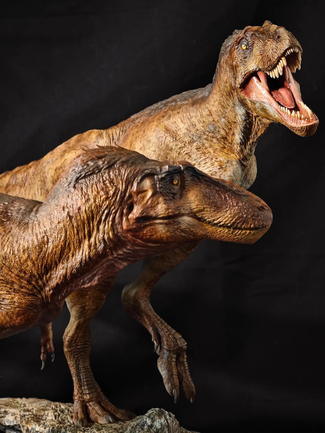 Carson Long STUDIO アジアティラヌス 2体セット ティラノサウルス科 白亜紀 大型の獣脚類 恐竜 リアル フィギュア 樹脂 プラモデル 模型 スタチュー 台座付き (塗装済み, 1/18) [並行輸入品]
