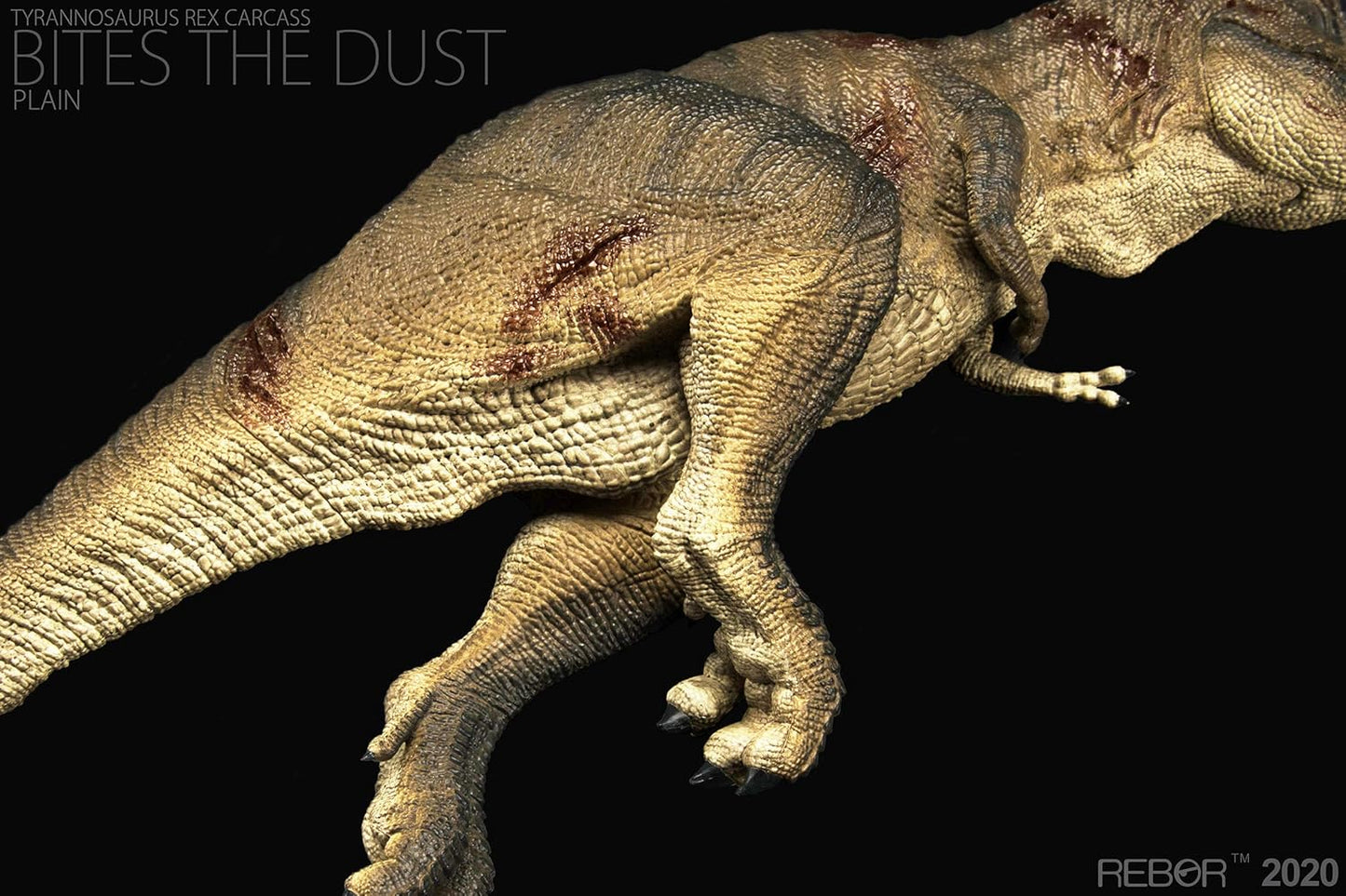 Rebor 1/35 サイズ ティラノサウルス 死体 死骸 Tレックス T-REX CARCASS 大きい 肉食 恐竜 リアル フィギュア PVC プラモデル おもちゃ 模型 プレゼント プレミアム 36cm級 オリジナル 塗装済 完成品 (ジャングル+平野)