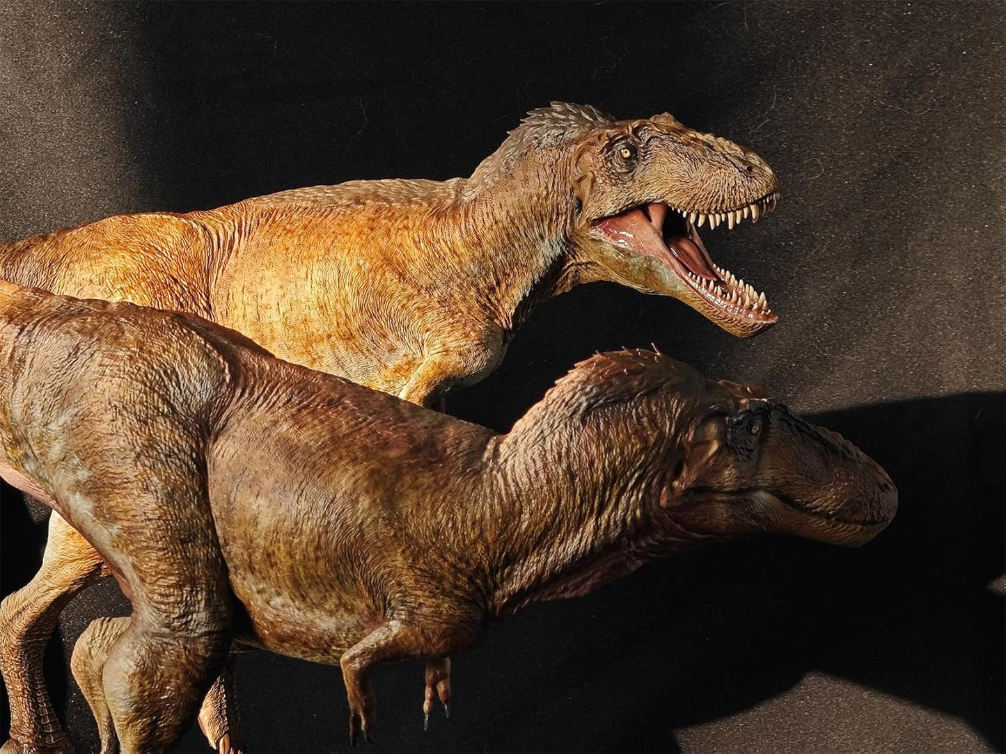 Carson Long STUDIO アジアティラヌス 2体セット ティラノサウルス科 白亜紀 大型の獣脚類 恐竜 リアル フィギュア 樹脂 プラモデル 模型 スタチュー 台座付き (塗装済み, 1/18) [並行輸入品]