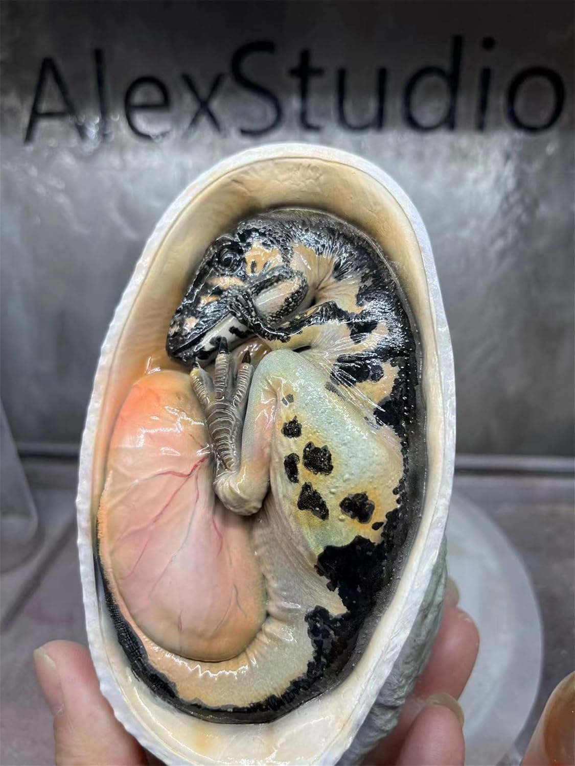 BACALYSO | ALEX STUDIO Velociraptor Egg Figure, 5.3 inches (13.5 cm) Class, Dinosaur, Small, Carnivorous Dinosaur, Childhood, Dinosaur Egg, Resin, Painted Finished, Statue, Cute, Realistic Animal,