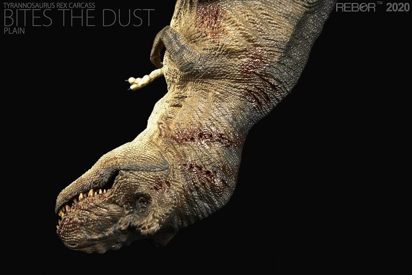 Rebor 1/35 サイズ ティラノサウルス 死体 死骸 Tレックス T-REX CARCASS 大きい 肉食 恐竜 リアル フィギュア PVC プラモデル おもちゃ 模型 プレゼント プレミアム 36cm級 オリジナル 塗装済 完成品 (ジャングル+平野)