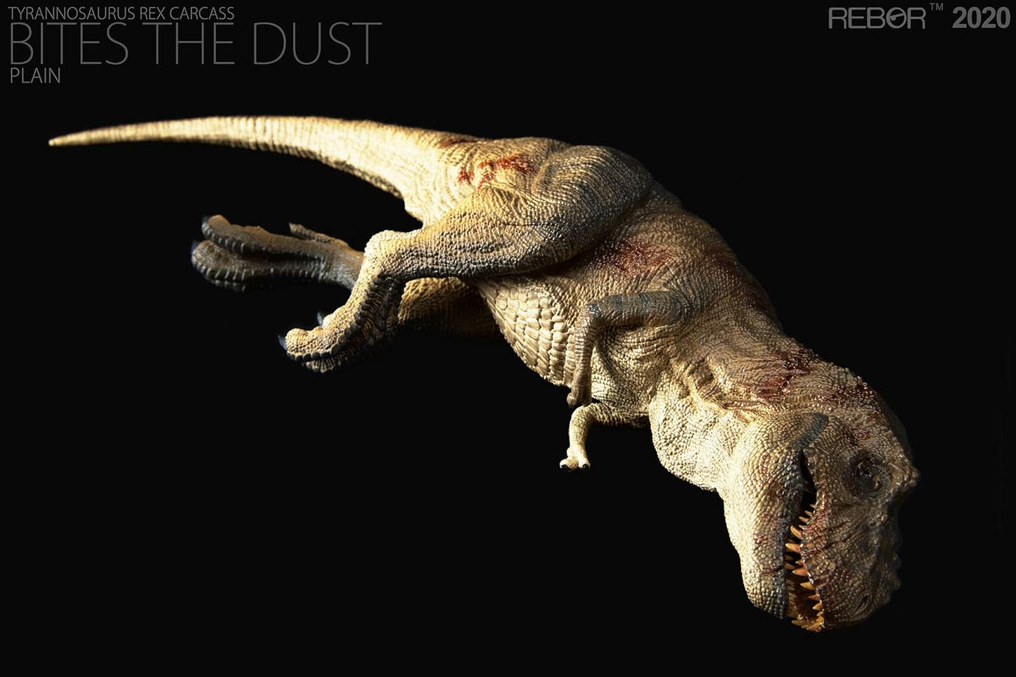 Rebor 1/35 サイズ ティラノサウルス 死体 死骸 Tレックス T-REX CARCASS 大きい 肉食 恐竜 リアル フィギュア PVC プラモデル おもちゃ 模型 プレゼント プレミアム 36cm級 オリジナル 塗装済 完成品 (平野)