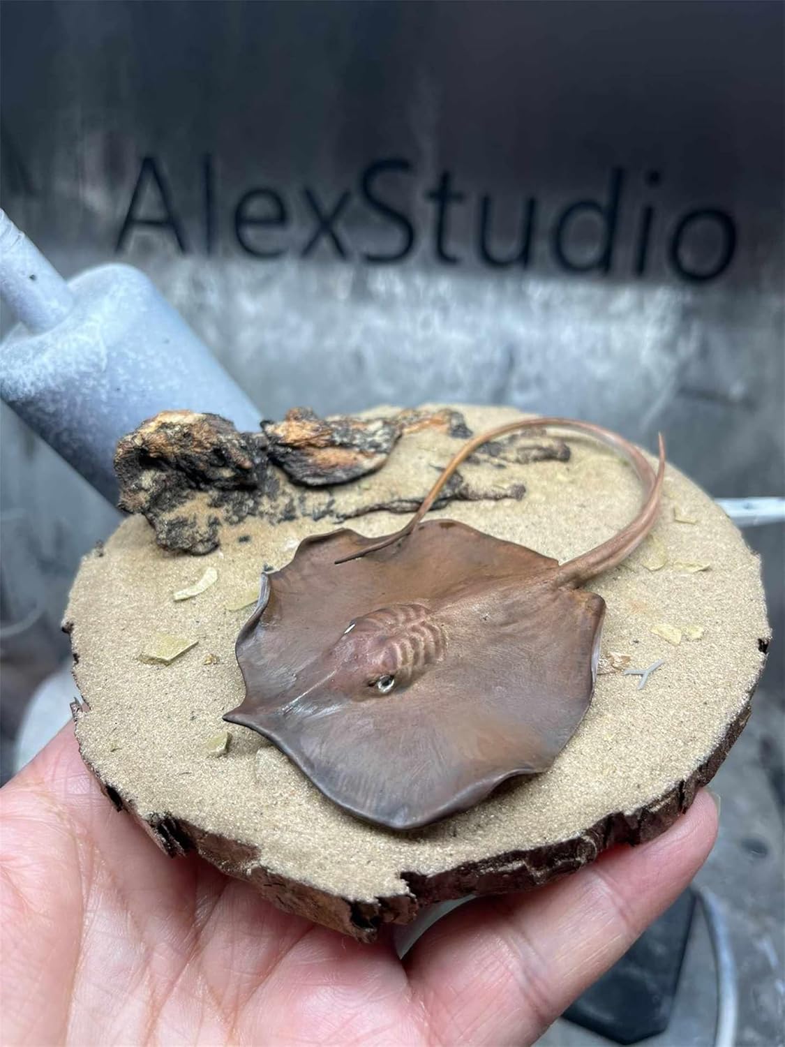 BACALYSO | ALEX STUDIO Plaque Lavane Figure, Endangered, World's Largest Freshwater Fish, Stingray Family, Thorny Stingray, Resin, Painted, Cute, Realistic Animal, Plastic Model, Toy, Figurine (1/15)