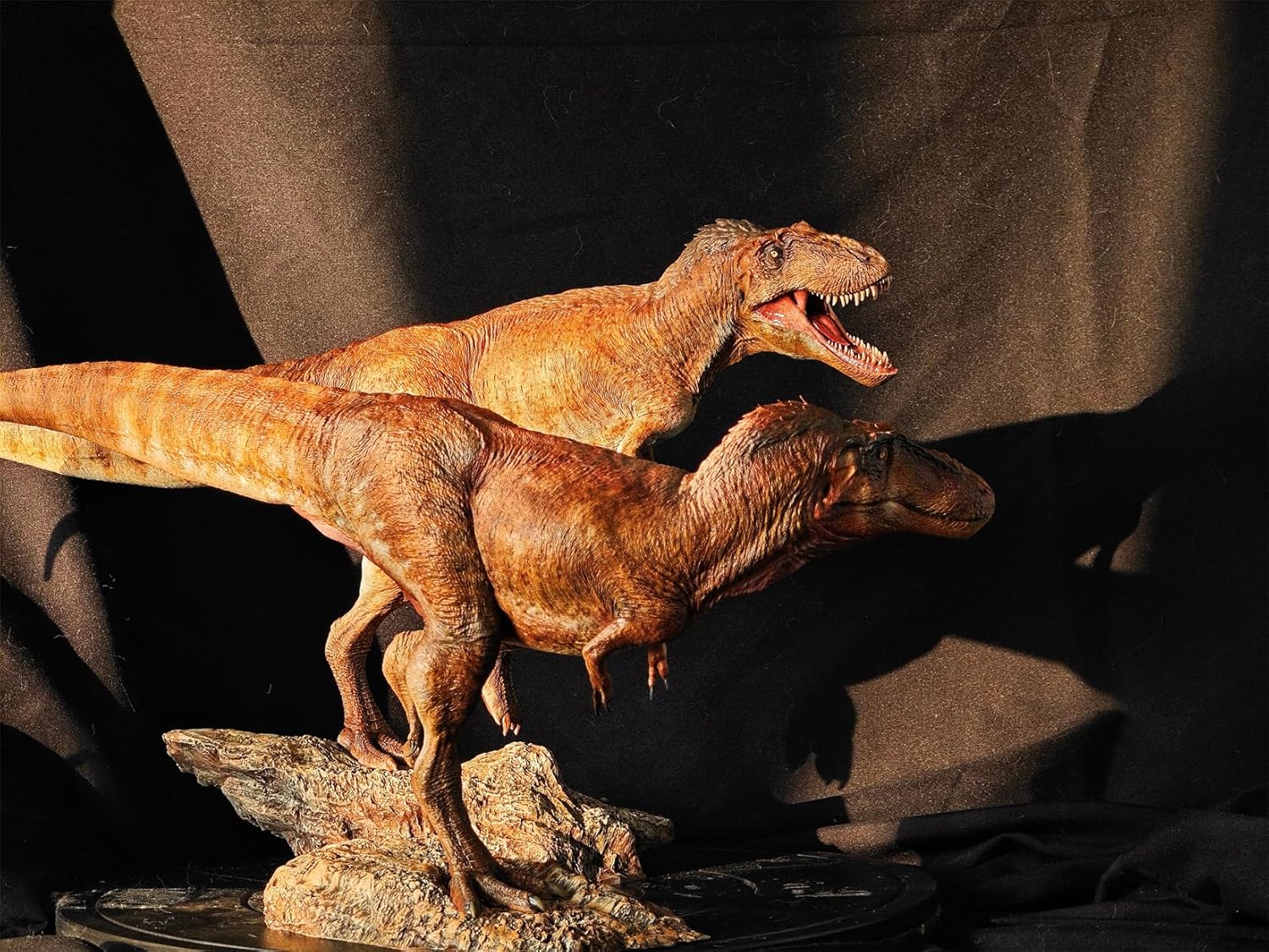 Carson Long STUDIO アジアティラヌス 2体セット ティラノサウルス科 白亜紀 大型の獣脚類 恐竜 リアル フィギュア 樹脂 プラモデル 模型 スタチュー 台座付き (塗装済み, 1/18) [並行輸入品]