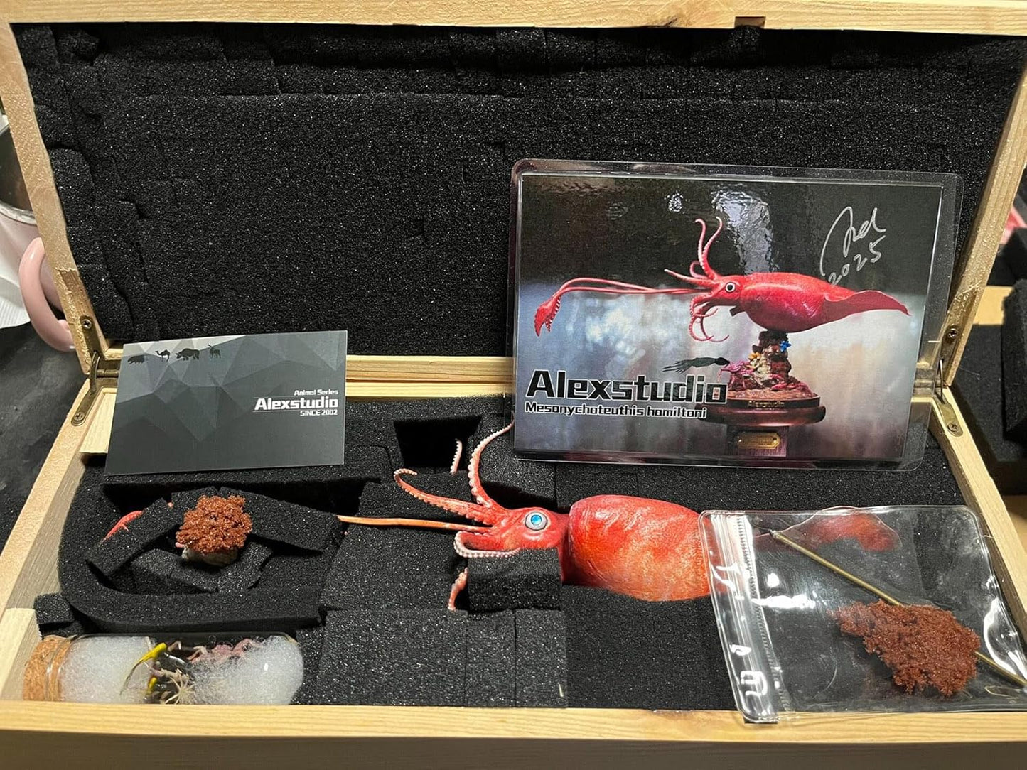 Alex STUDIO ダイオウホウズキイカ フィギュア ダイオウイカ サメハダホウズキイカ科 動物 無脊椎動物 海洋生物 リアル 樹脂 プラモデル 大人のおもちゃ 模型 プレゼント 置物 台座付き (15cm) [並行輸入品]