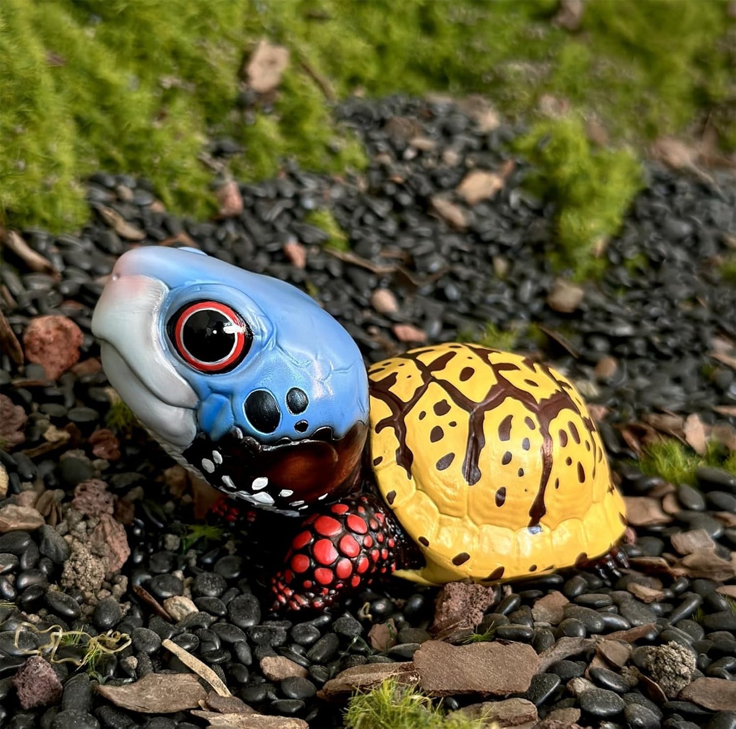 動物惑星 ハコガメ フィギュア カメ 亀 10.5CM級 カメ目 ニシキハコガメ ユカタンハコガメ フロリダハコガメ爬虫類 情景セット 樹脂 可愛い おもちゃ リアル 動物好き オリジナル 模型 (7点セット)