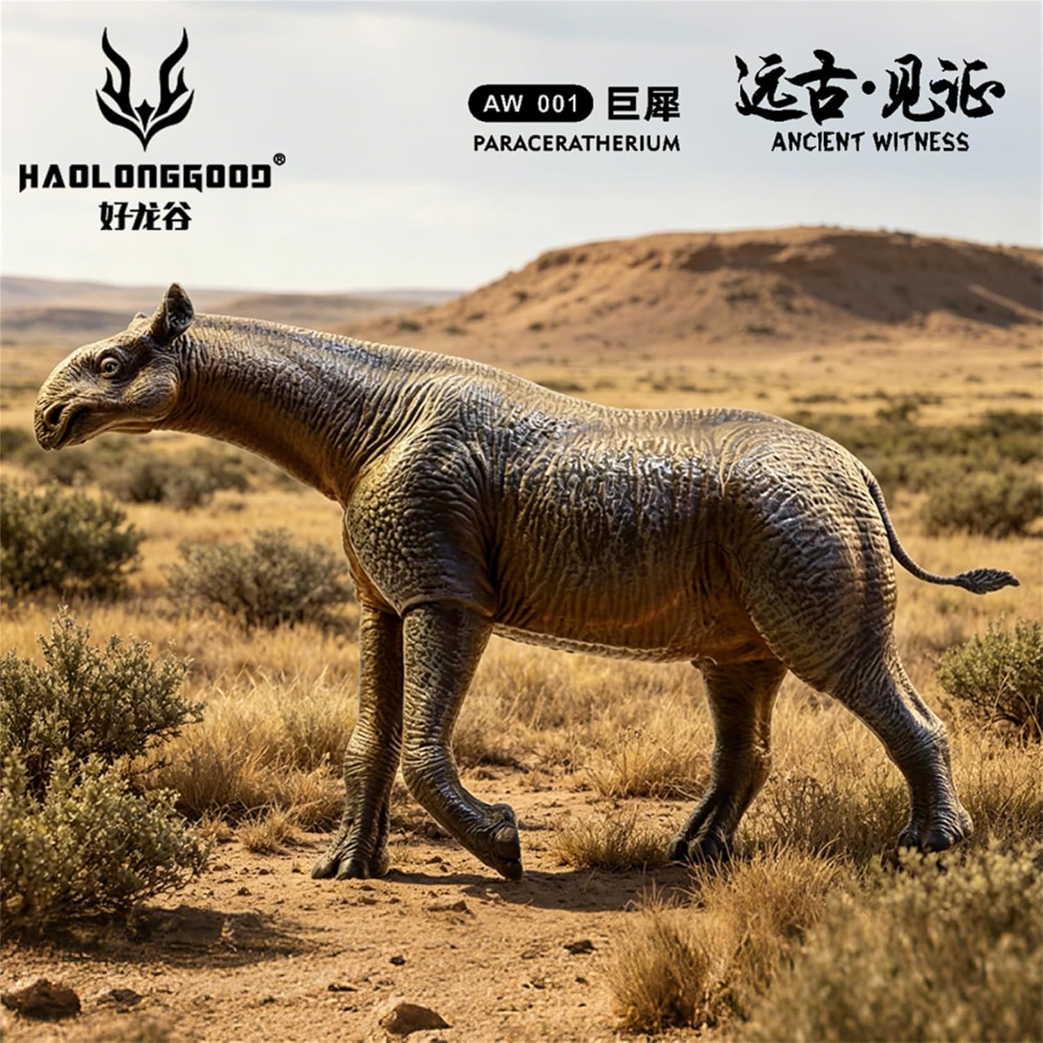 HAOLONGGOOD 1/35サイズ パラケラテリウム フィギュア 24cm PVC CE認証 塗装済 古生代始新世 ヒラコドン科 哺乳類 サイ 動物 恐竜 リアル 模型 プラモデル おもちゃ スタチュー 置物 [並行輸入品]