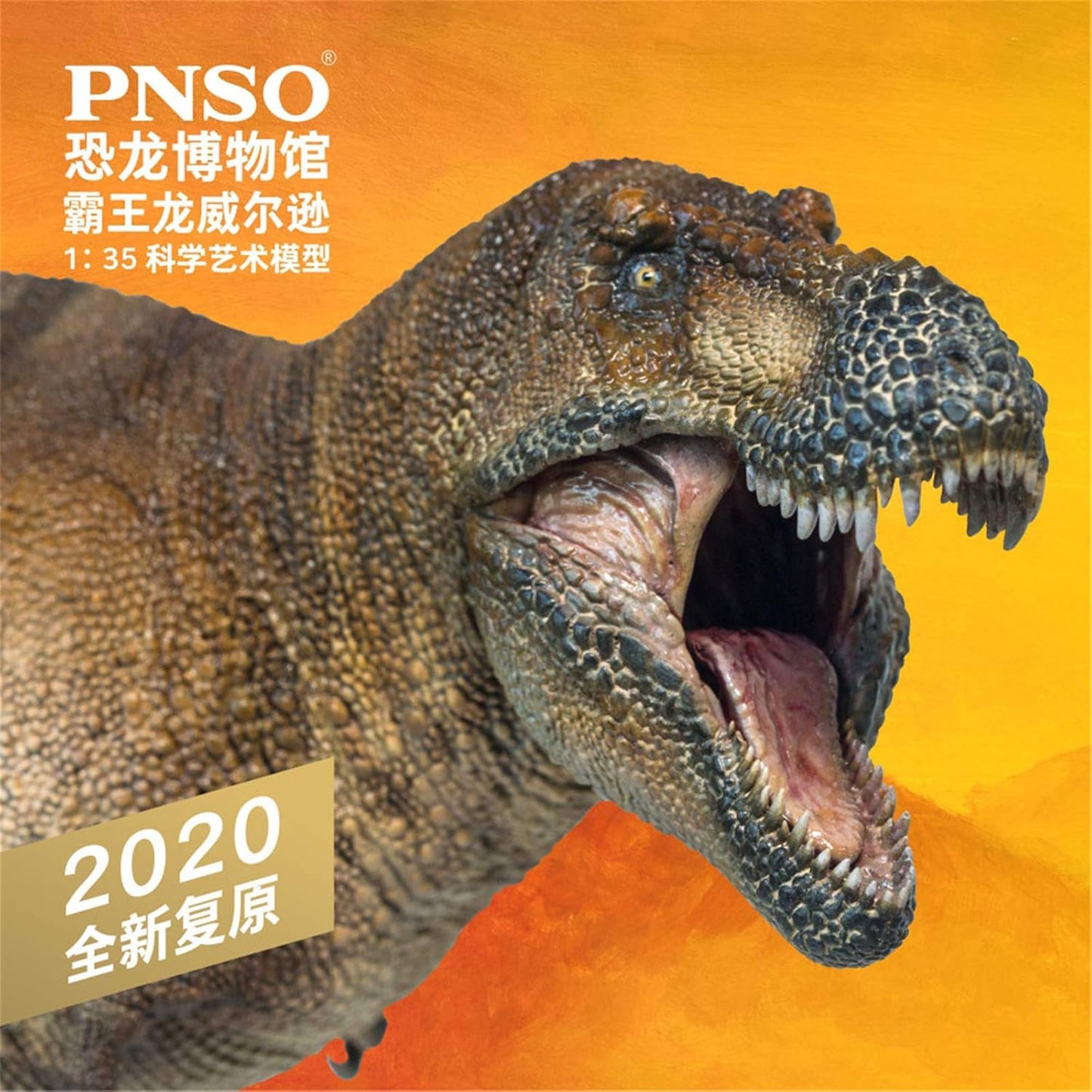 PNSO 恐竜博物館 1/35 サイズ ティラノサウルス T-REX 恐竜 リアル フィギュア PVC プラモデル おもちゃ 模型