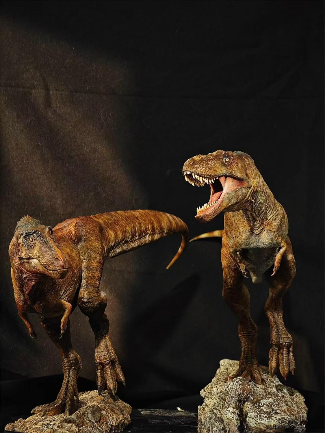 Carson Long STUDIO アジアティラヌス 2体セット ティラノサウルス科 白亜紀 大型の獣脚類 恐竜 リアル フィギュア 樹脂 プラモデル 模型 スタチュー 台座付き (塗装済み, 1/18) [並行輸入品]