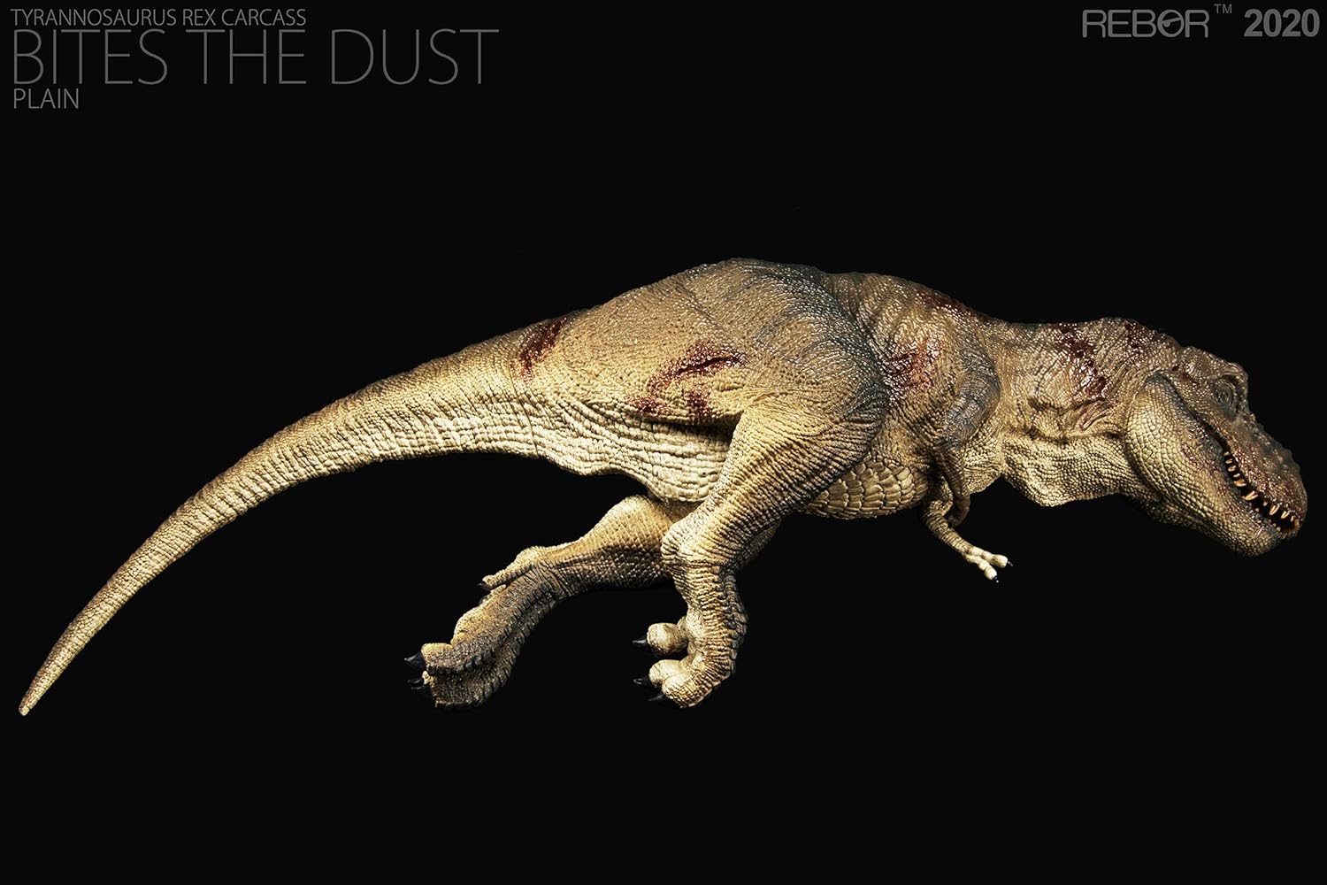 Rebor 1/35 サイズ ティラノサウルス 死体 死骸 Tレックス T-REX CARCASS 大きい 肉食 恐竜 リアル フィギュア PVC プラモデル おもちゃ 模型 プレゼント プレミアム 36cm級 オリジナル 塗装済 完成品 (ジャングル+平野)