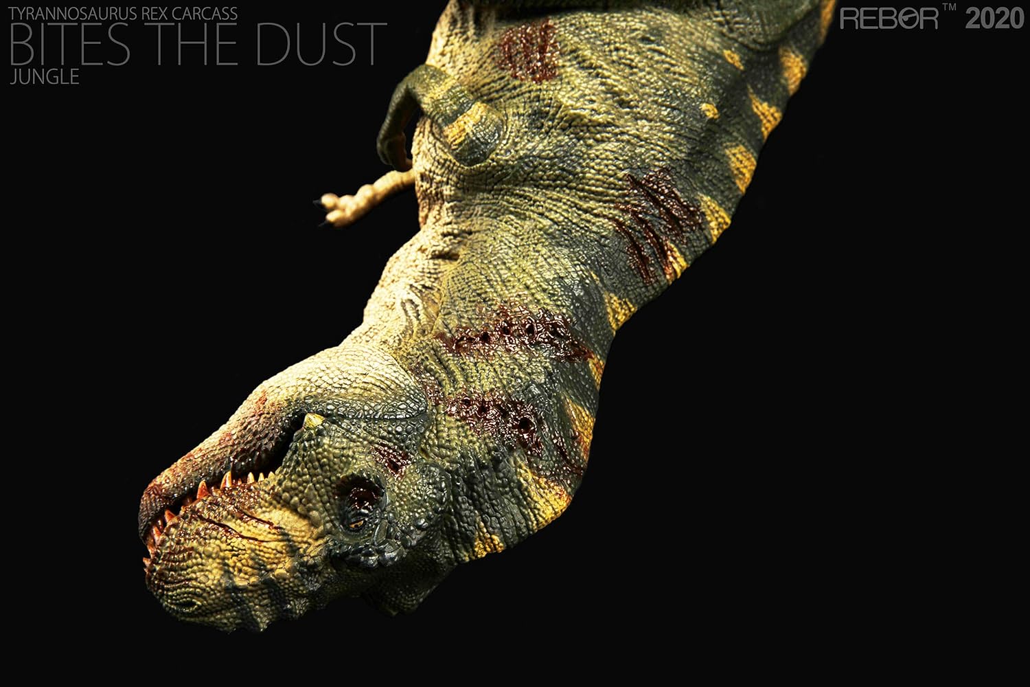 Rebor 1/35 サイズ ティラノサウルス 死体 死骸 Tレックス T-REX CARCASS 大きい 肉食 恐竜 リアル フィギュア PVC プラモデル おもちゃ 模型 プレゼント プレミアム 36cm級 オリジナル 塗装済 完成品 (ジャングル+平野)