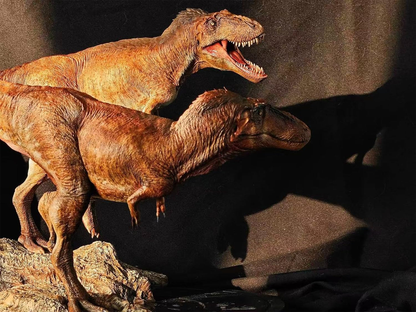 Carson Long STUDIO アジアティラヌス 2体セット ティラノサウルス科 白亜紀 大型の獣脚類 恐竜 リアル フィギュア 樹脂 プラモデル 模型 スタチュー 台座付き (塗装済み, 1/18) [並行輸入品]