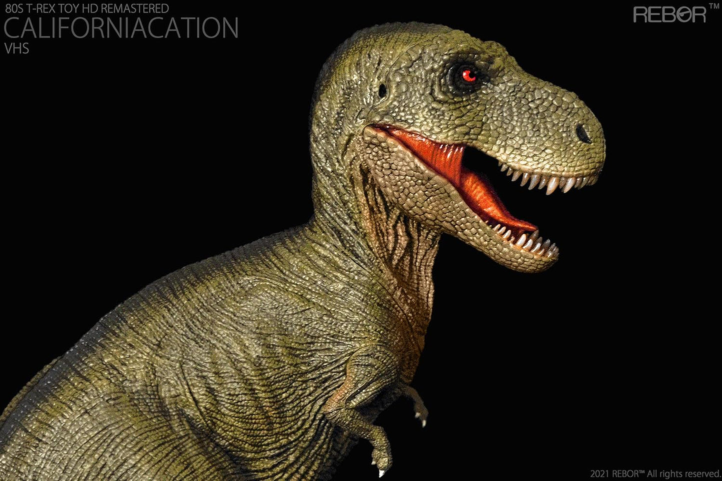 Rebor T-Rex T-Rex Dinosaur Figure, Plastic Model, Toy, Model, Realistic PVC, Present, Premium, 11.0 inches (28 cm), Original, Painted Finished Product (Video Tape)