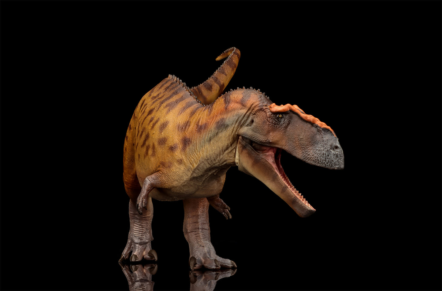 PNSO 成長シリーズ 96 タウロヴェナトル フィギュア 白亜紀 カルカロドントサウルス科 獣脚類 26cm級 恐竜 PVC おもちゃ 模型 恐竜好き