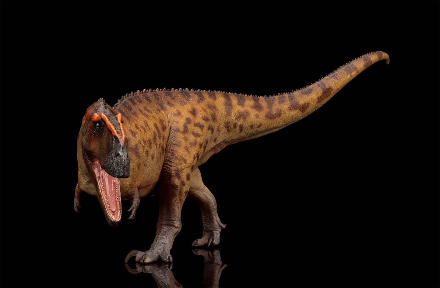 PNSO 成長シリーズ 96 タウロヴェナトル フィギュア 白亜紀 カルカロドントサウルス科 獣脚類 26cm級 恐竜 PVC おもちゃ 模型 恐竜好き