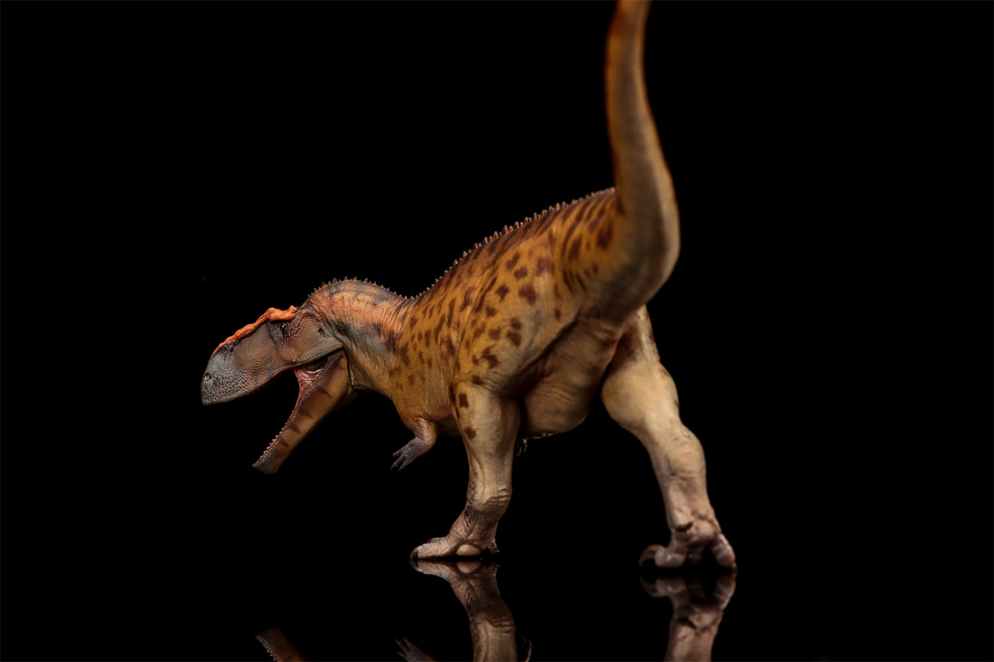 PNSO 成長シリーズ 96 タウロヴェナトル フィギュア 白亜紀 カルカロドントサウルス科 獣脚類 26cm級 恐竜 PVC おもちゃ 模型 恐竜好き