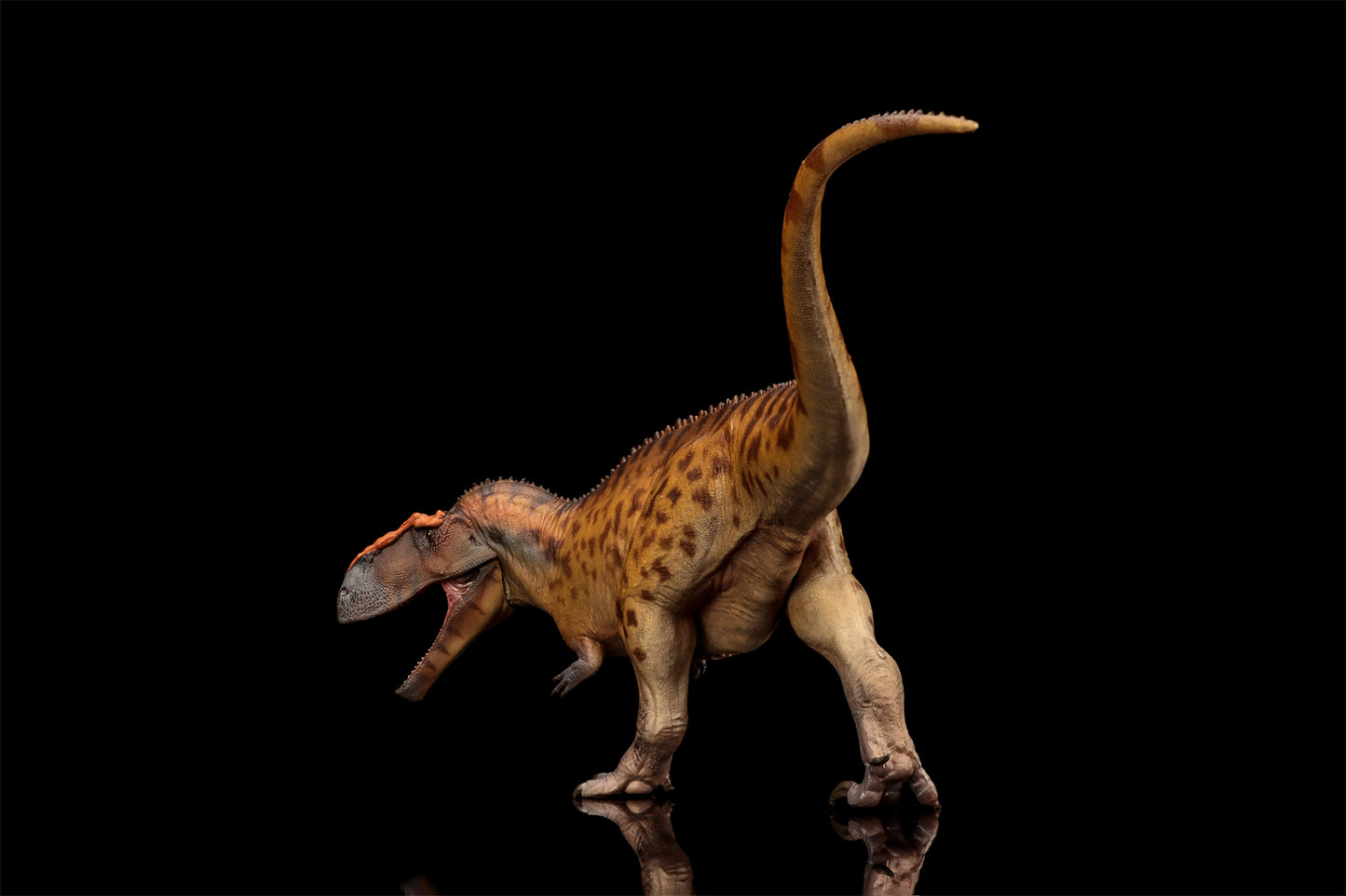 PNSO 成長シリーズ 96 タウロヴェナトル フィギュア 白亜紀 カルカロドントサウルス科 獣脚類 26cm級 恐竜 PVC おもちゃ 模型 恐竜好き