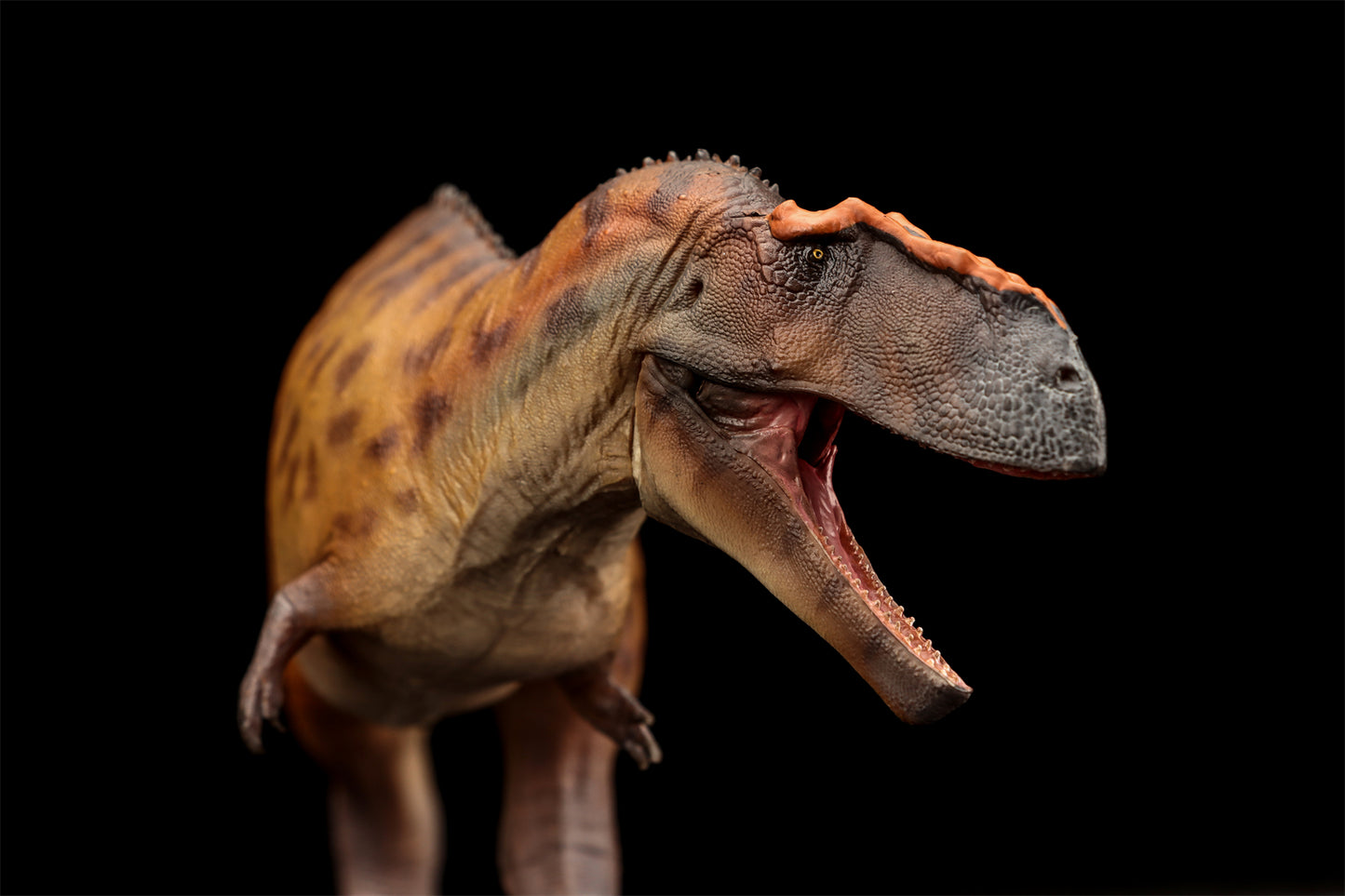 PNSO 成長シリーズ 96 タウロヴェナトル フィギュア 白亜紀 カルカロドントサウルス科 獣脚類 26cm級 恐竜 PVC おもちゃ 模型 恐竜好き