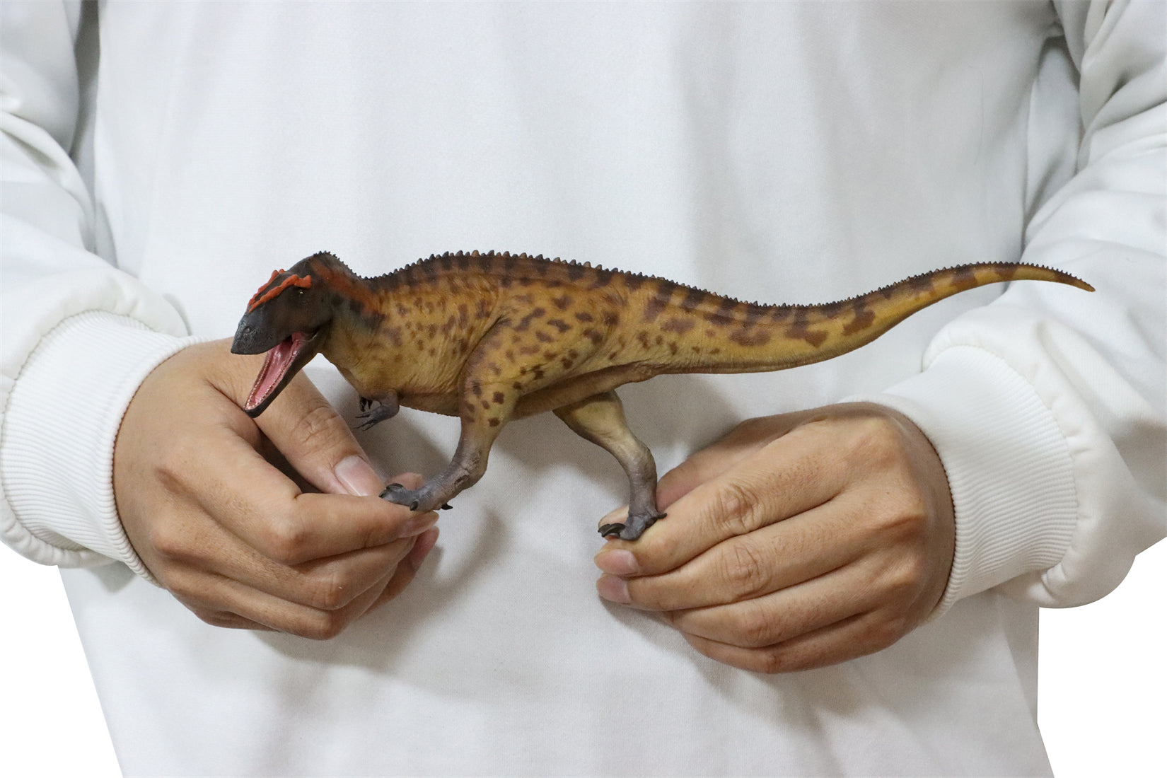 PNSO 成長シリーズ 96 タウロヴェナトル フィギュア 白亜紀 カルカロ