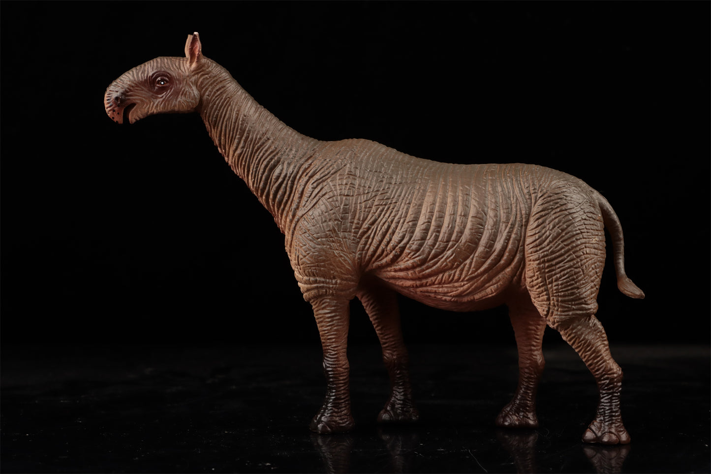Earth Story パラケラテリウム 漸新世 動物 フィギュア PVC製 模型 プラモデル おもちゃ 模型 玩具