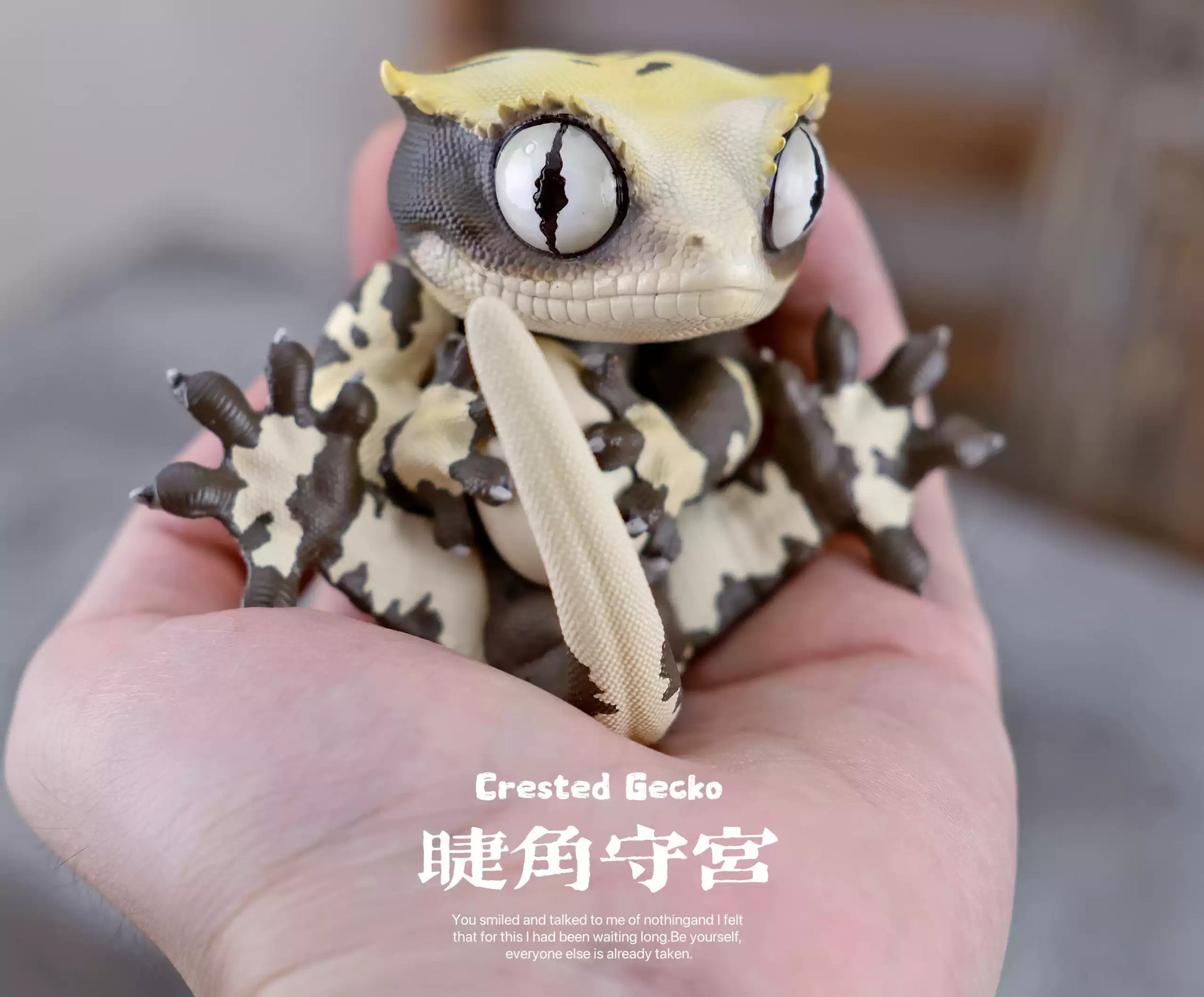 博物志 ヤモリ フィギュア 14-20CM級 爬虫プラモデル – BINGNICK 博物志 ヤモリ フィギュア 14-20CM級 爬虫プラモデル – BINGNICK