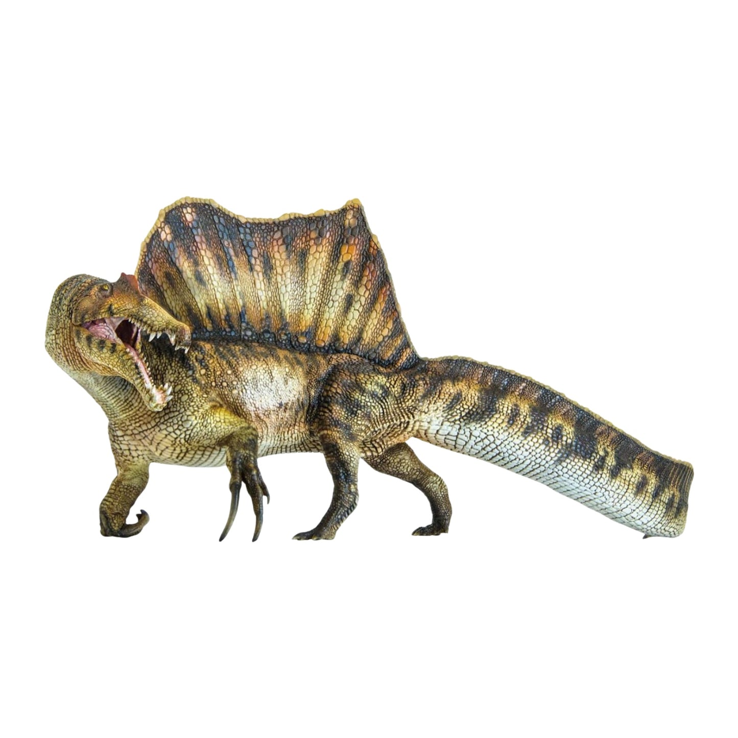 PNSO 成長シリーズ スピノサウルス Spinosaurus ジュラシック 恐竜 リアル フィギュア PVC プラモデル おもちゃ 23cm
