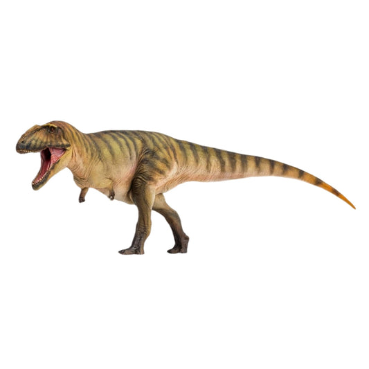 PNSO 成長シリーズ カルカロドントサウルス 恐竜 フィギュア プラモデル おもちゃ 模型 PVC 29.1cm級