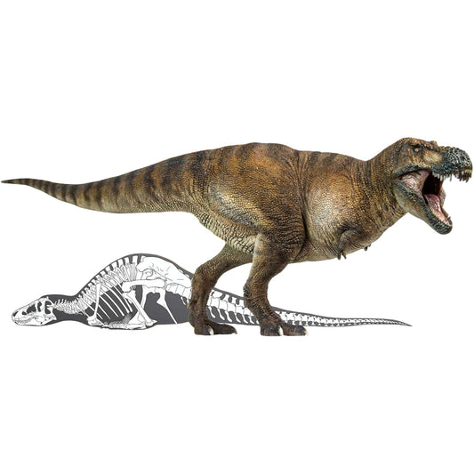 PNSO 恐竜博物館 1/35 サイズ ティラノサウルス T-REX 恐竜 リアル フィギュア PVC プラモデル おもちゃ 模型